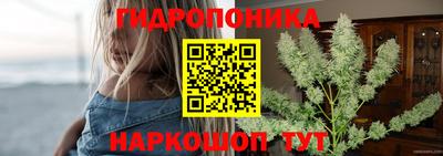 каннабис Кингисепп